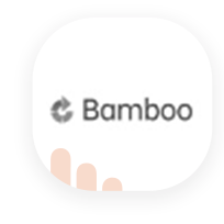 Bamboo